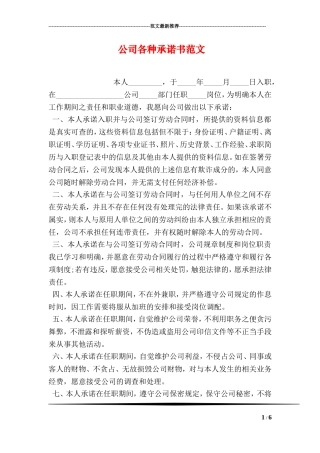 公司各种承诺书范文