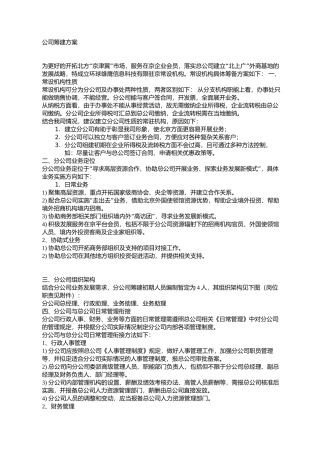 公司筹建方案
