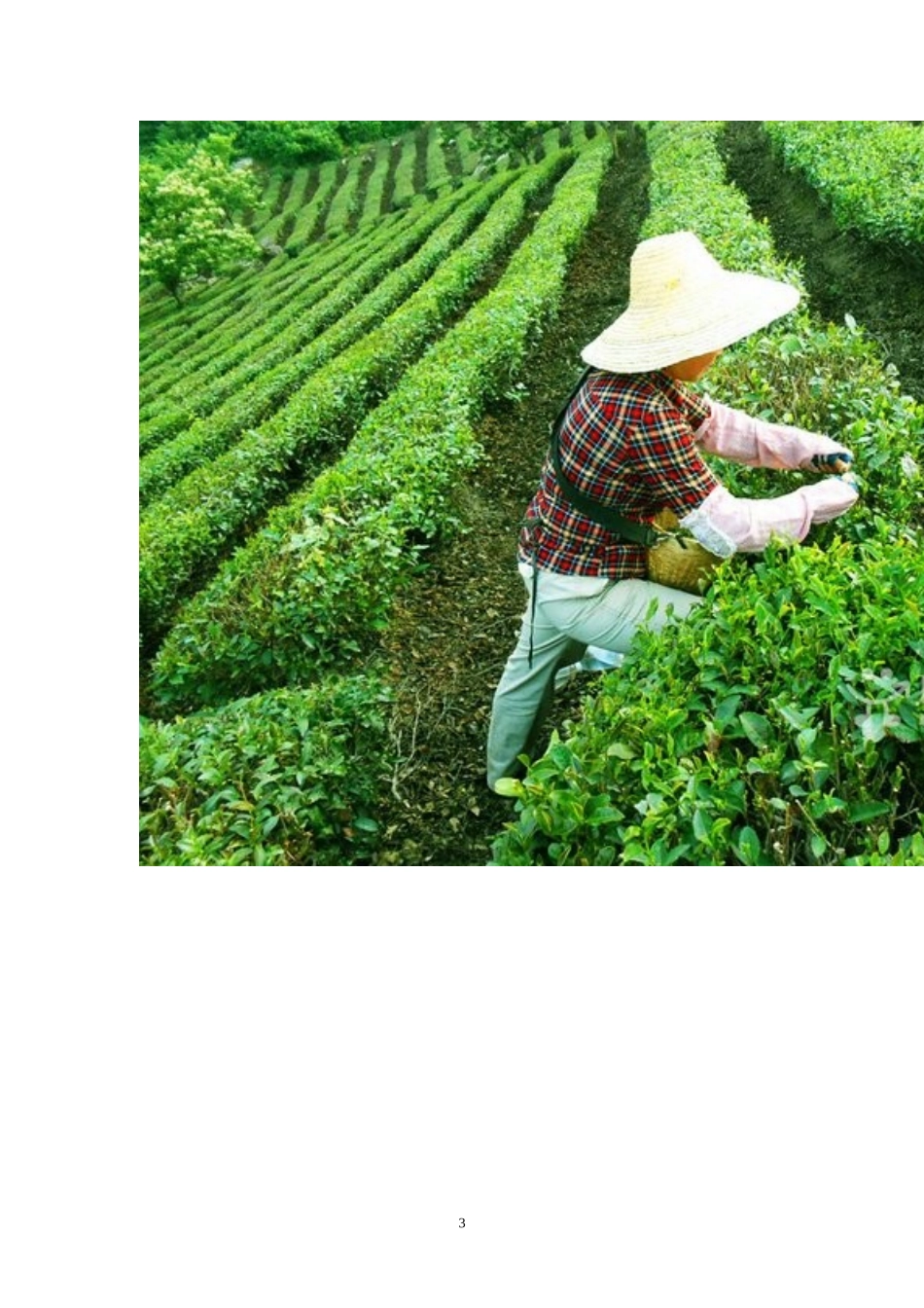 公司春季出游计划书_第3页