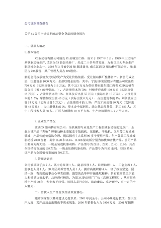 公司贷款调查报告