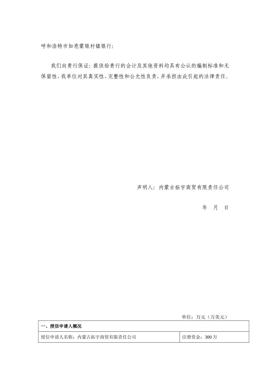 公司贷款申请书_第2页