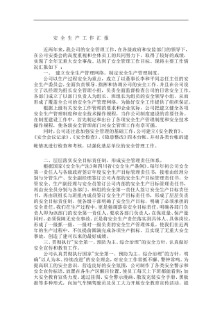 公司安全生产工作汇报材料(同名18259)