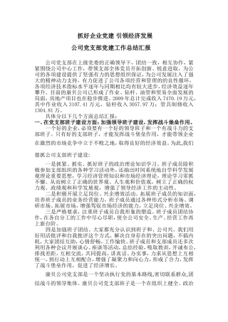 公司党支部08-09党建工作总结汇报