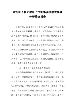 公司班子和支部班子贯彻落实科学发展观分析检查报告