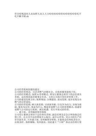 公司经营机制-规则方案