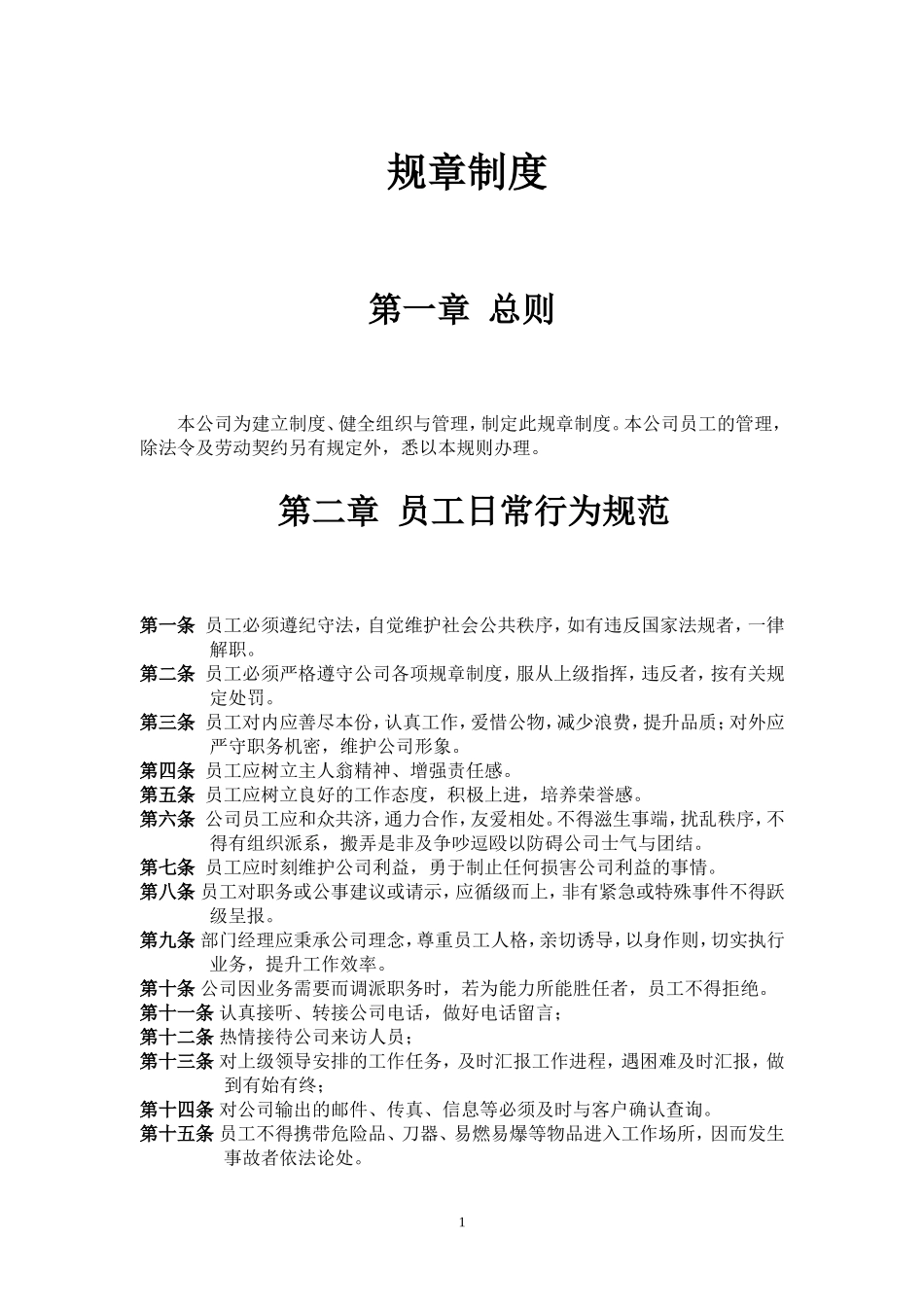 公司规章(详细版)_第1页
