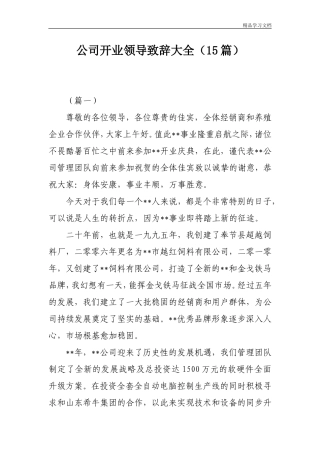 公司开业领导致辞大全(15篇)