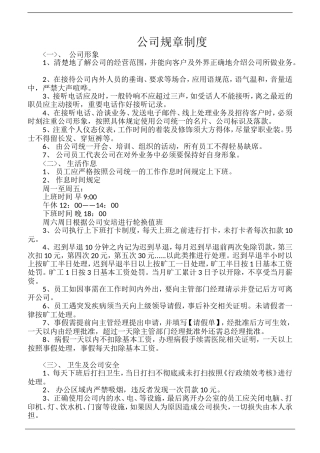 公司规章制度(同名4581)
