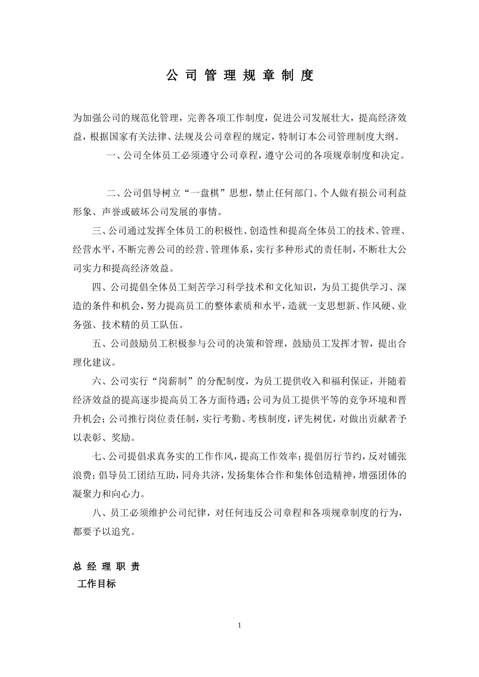 公司规章制度及各部门分工职责划分-文档_第1页