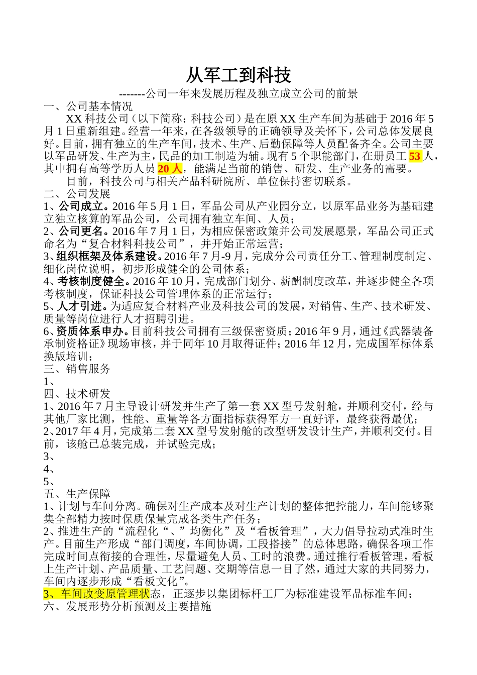 公司发展报告模板_第1页