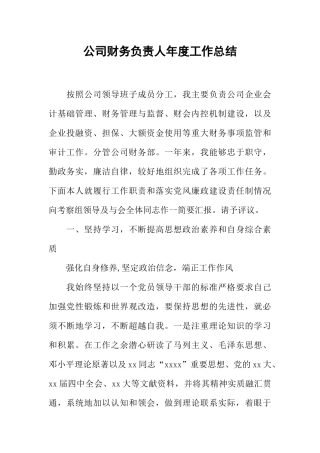 公司财务负责人年度工作总结