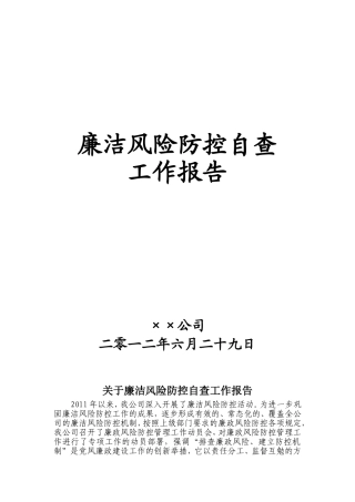 公司廉洁风险防控自查工作报告