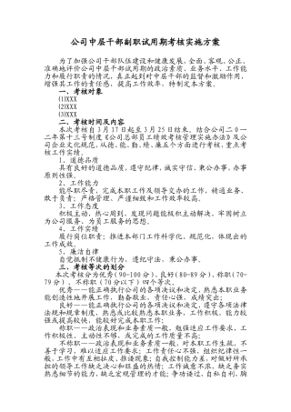 公司中层干部副职试用期考核实施方案