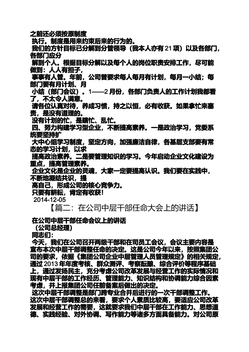 公司中层领导发言稿_第2页