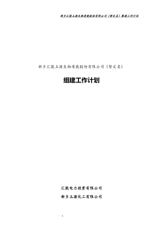 公司重组工作计划