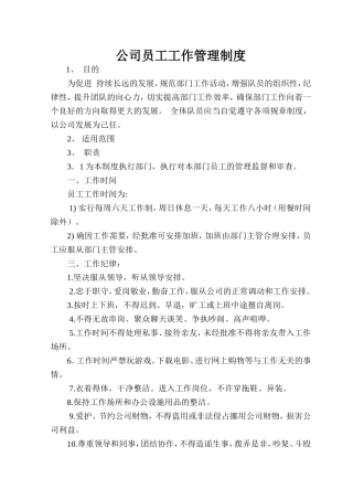 公司员工工作管理制度(同名12958)