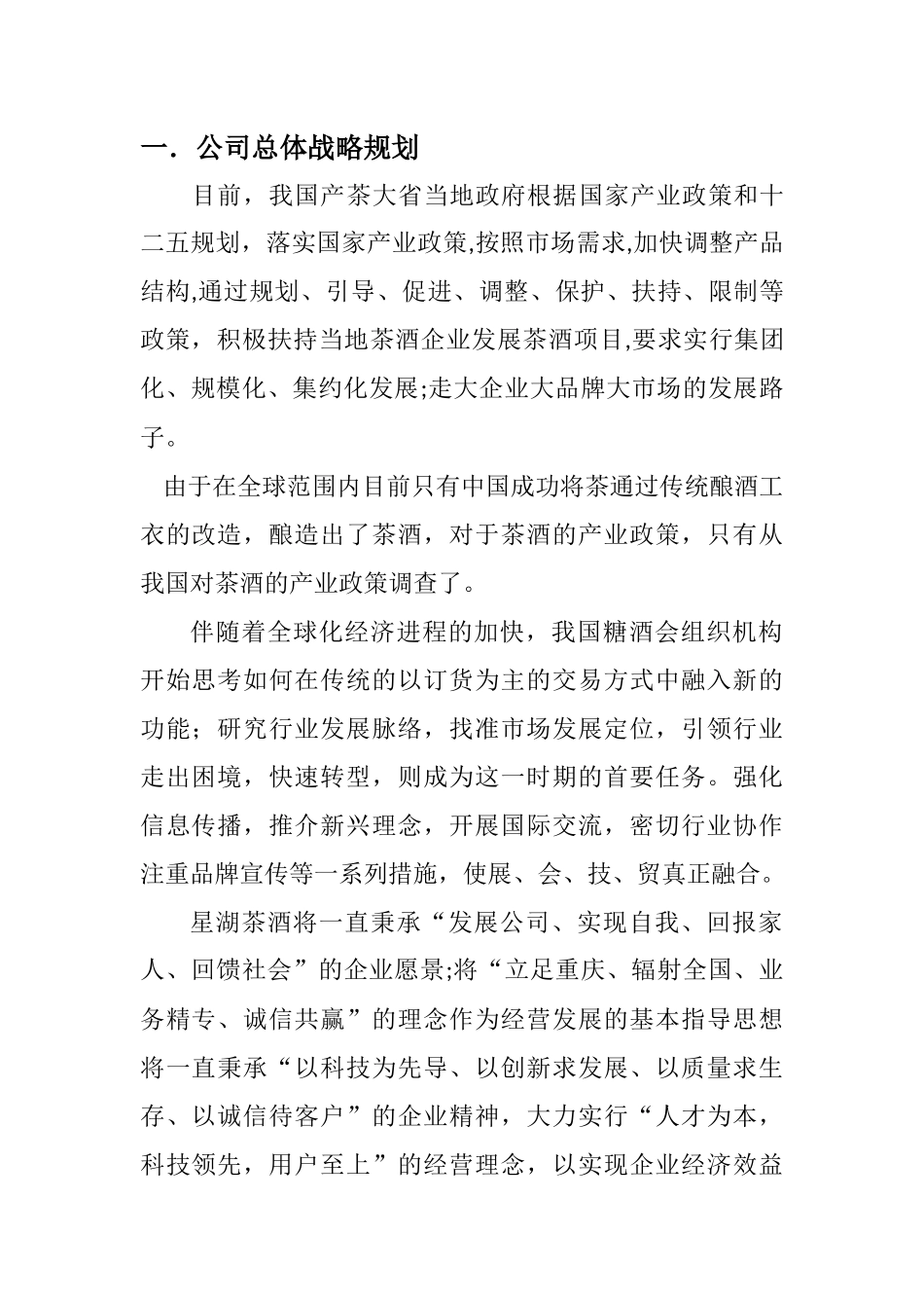 公司总体战略规划_第1页