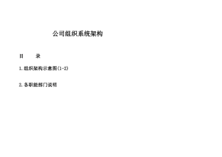 公司组织架构图及其说明(同名18273)