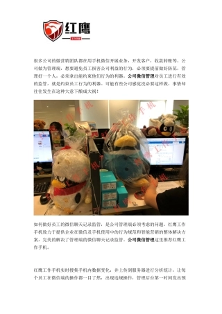 公司微信管理哪家好