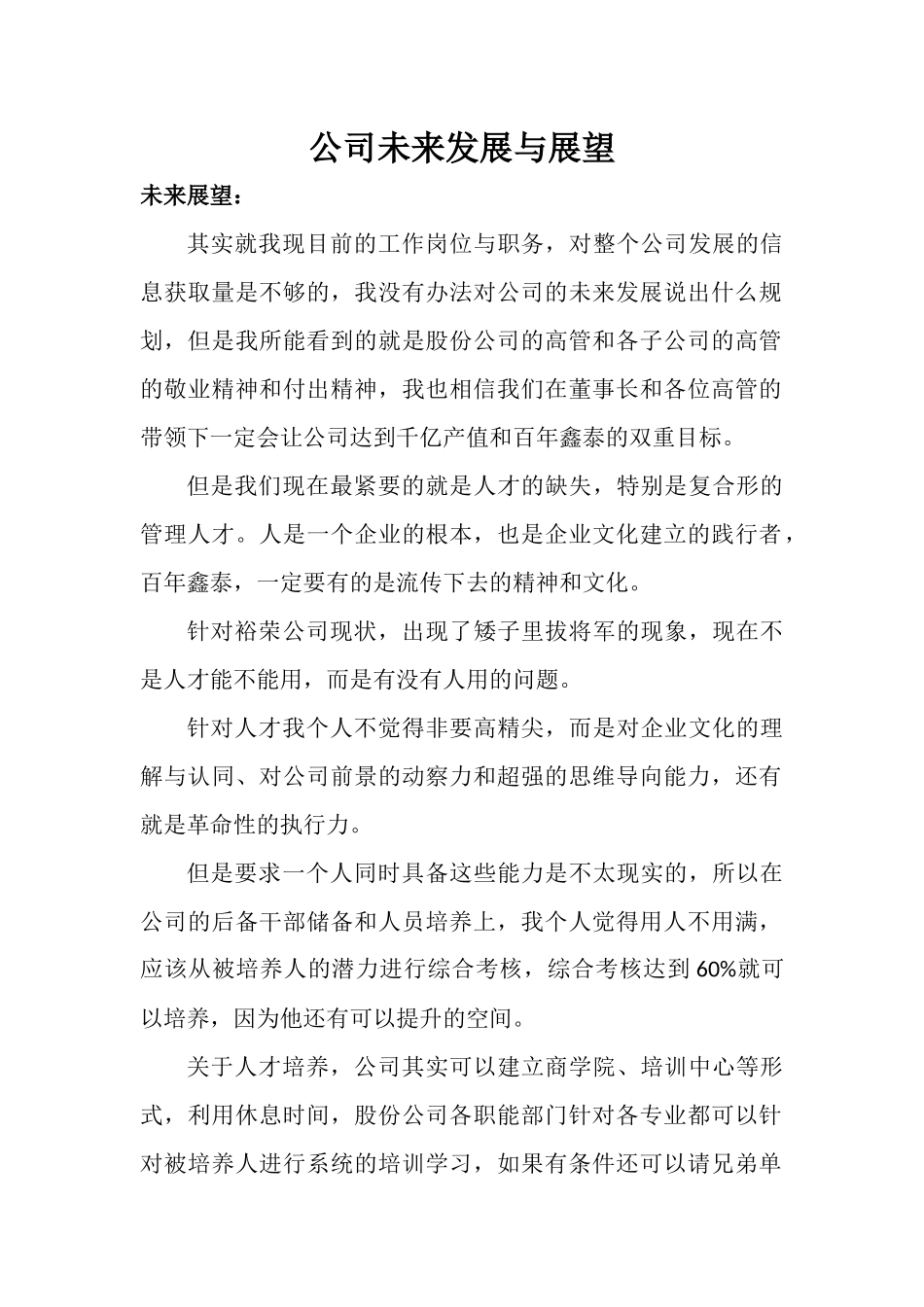 公司未来发展与展望_第1页