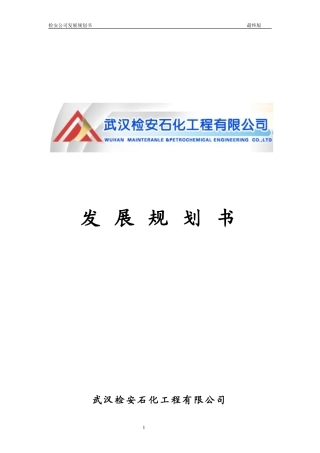 公司企业发展与规划计划书范例