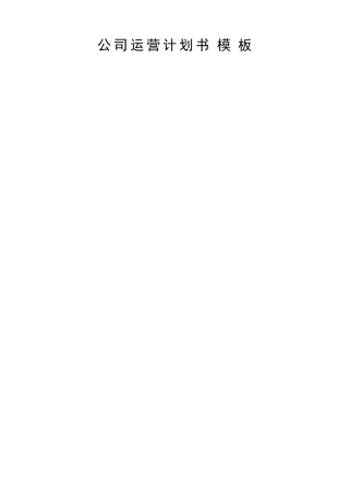 公司运营计划书模板(同名24122)