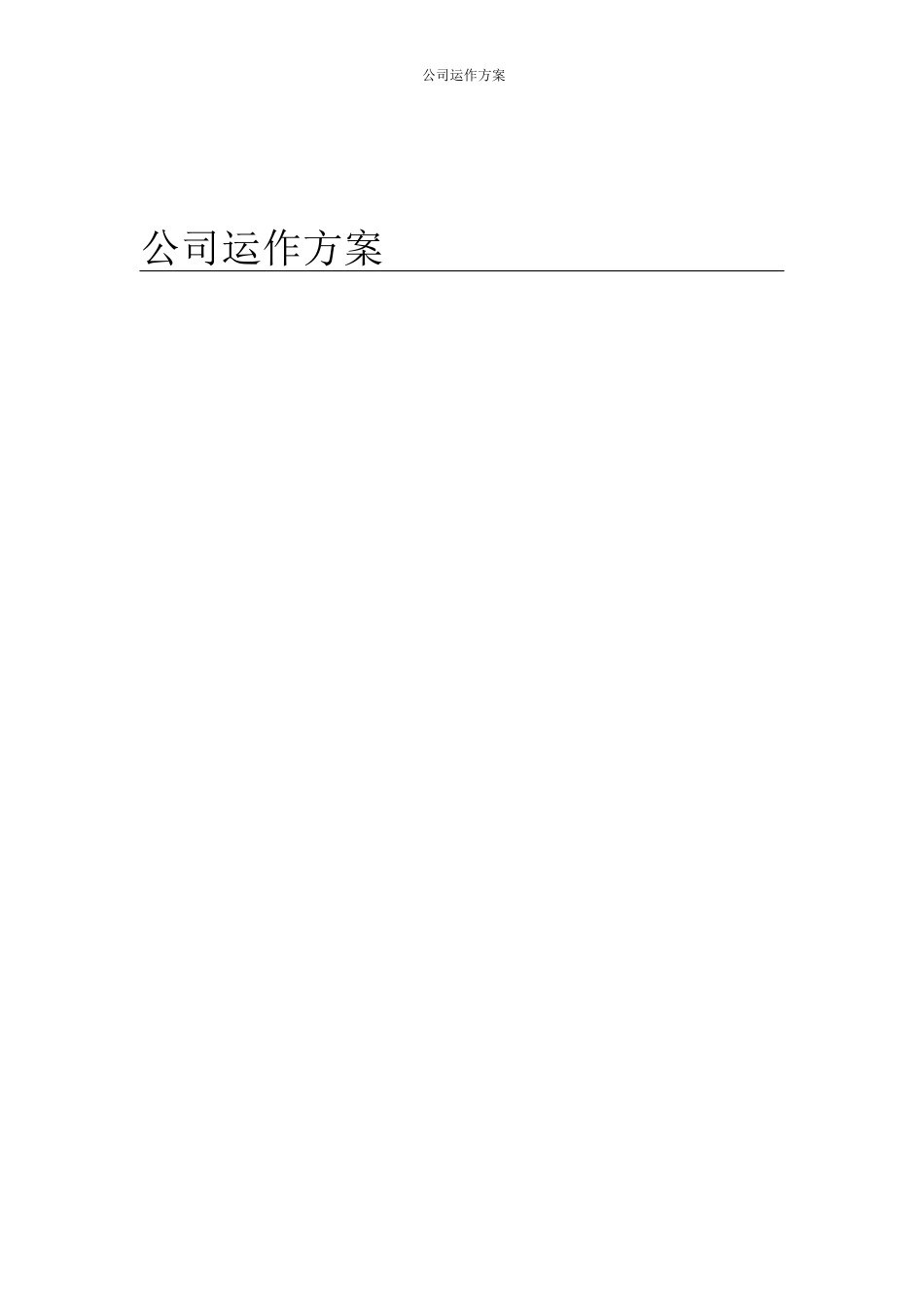 公司运作方案书_第1页