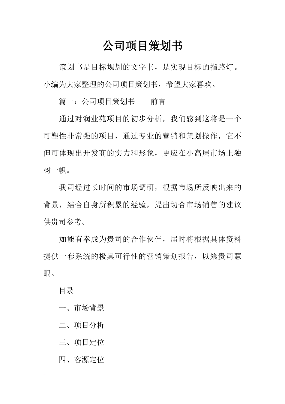 公司项目策划书_第1页