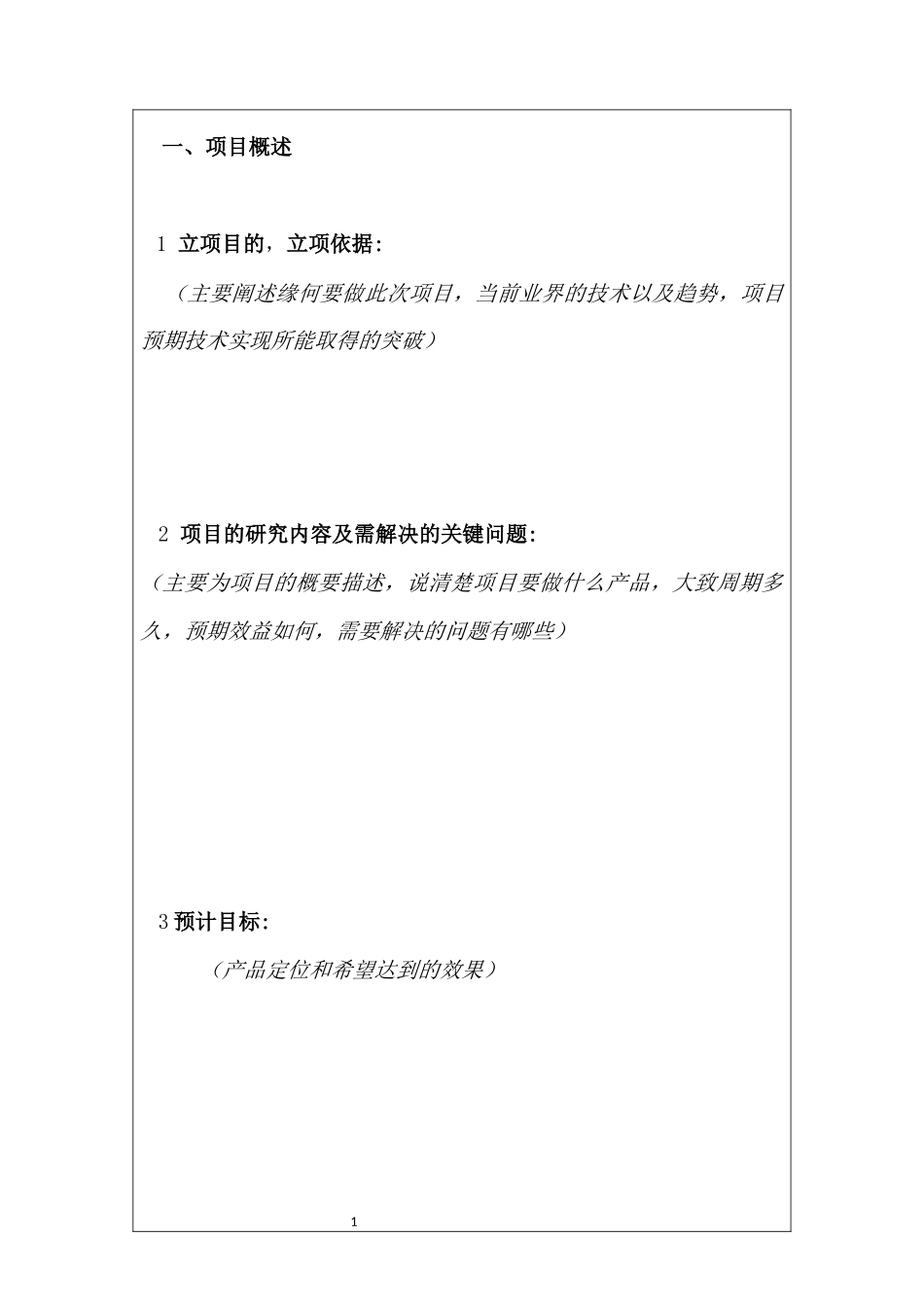 公司项目立项书模板_第2页