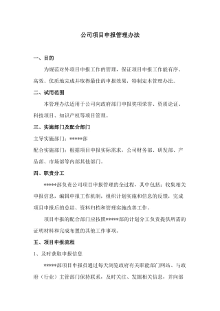 公司项目申报管理办法