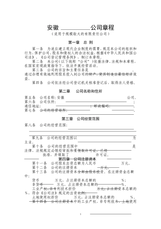 公司章程(适用于规模较大的有限责任公司)