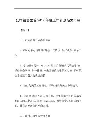 公司销售主管2019年度工作计划范文3篇