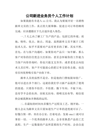 公司新进业务员个人工作计划