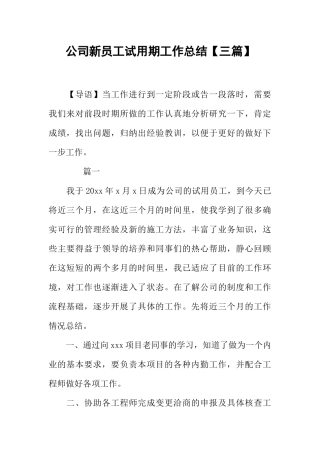 公司新员工试用期工作总结【三篇】