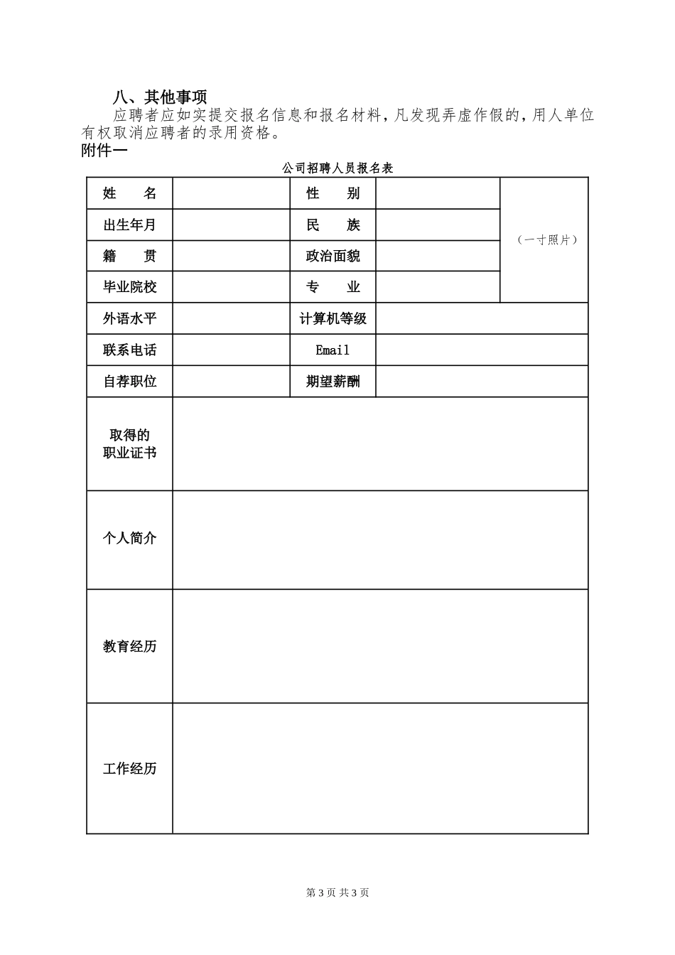 公司招聘方案_第3页