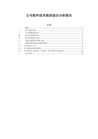 公司软件技术现状综合分析报告