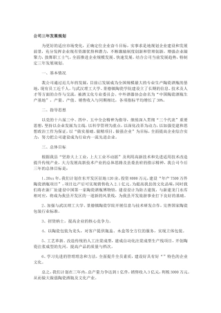 公司三年发展规划范文