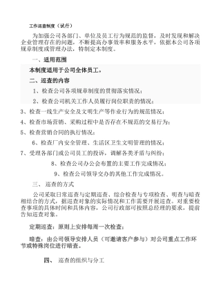 公司巡查工作制度(精)