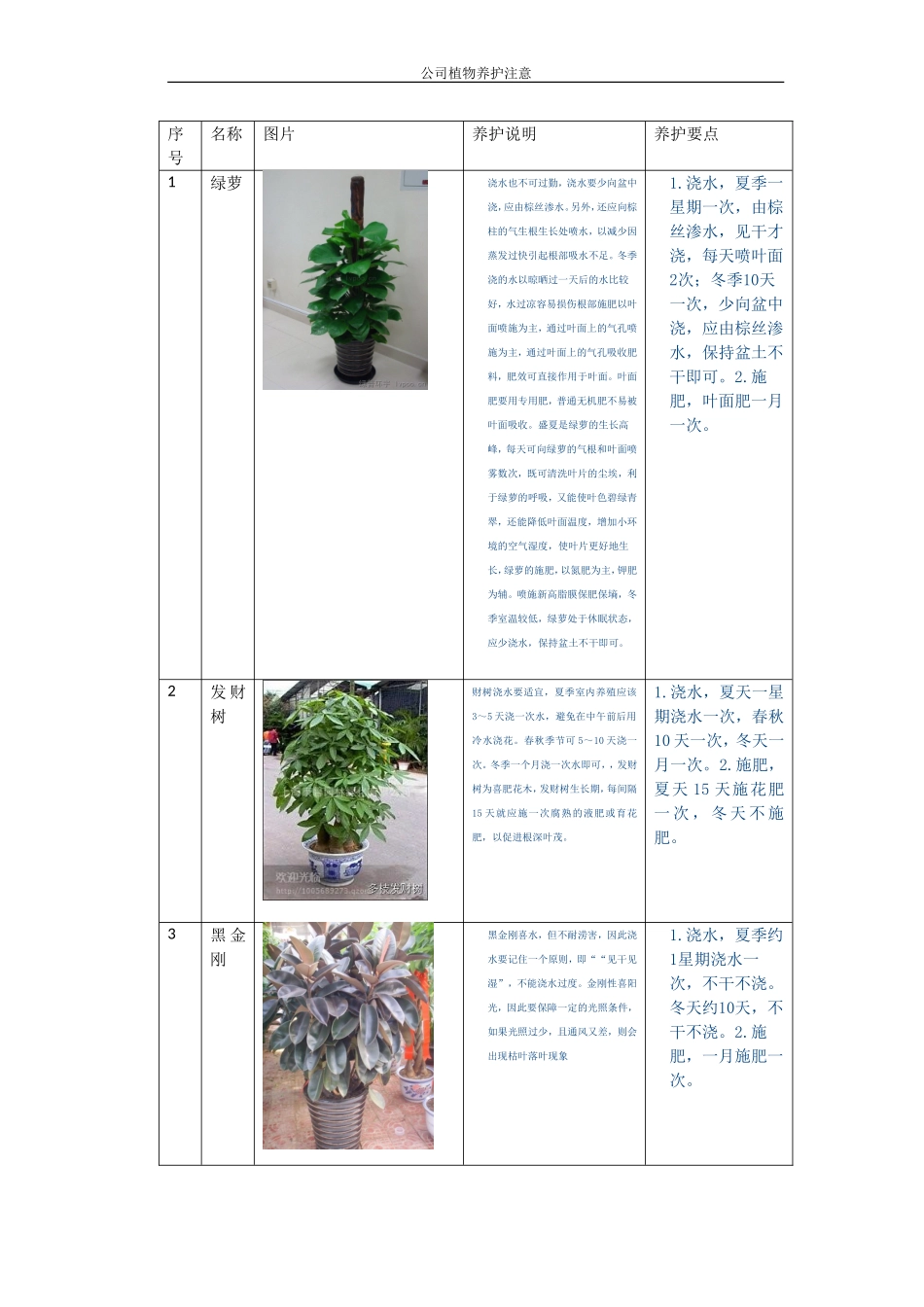 公司植物养护说明_第1页