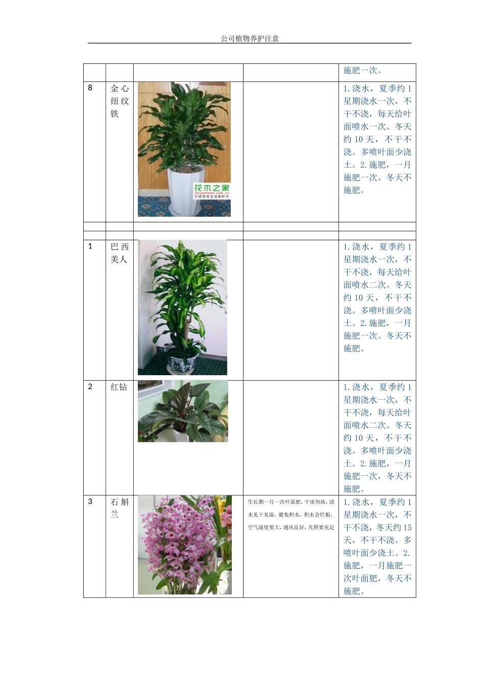 公司植物养护说明_第3页