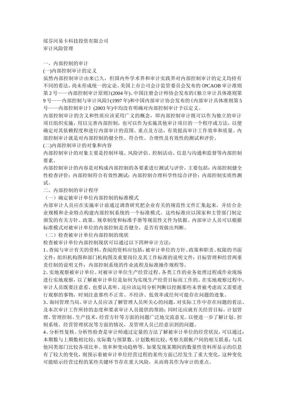 公司审计风险管理_第1页