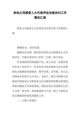 供电公司接受人大代表评议自查自纠工作情况汇报