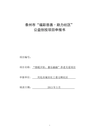 公益创投项目申报书