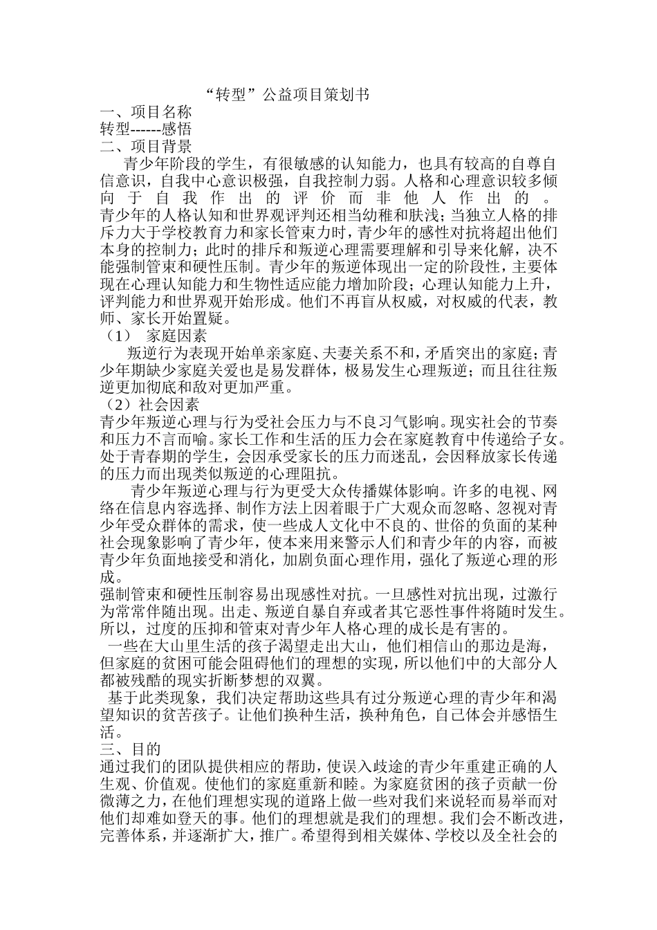 公益项目策划书_第2页
