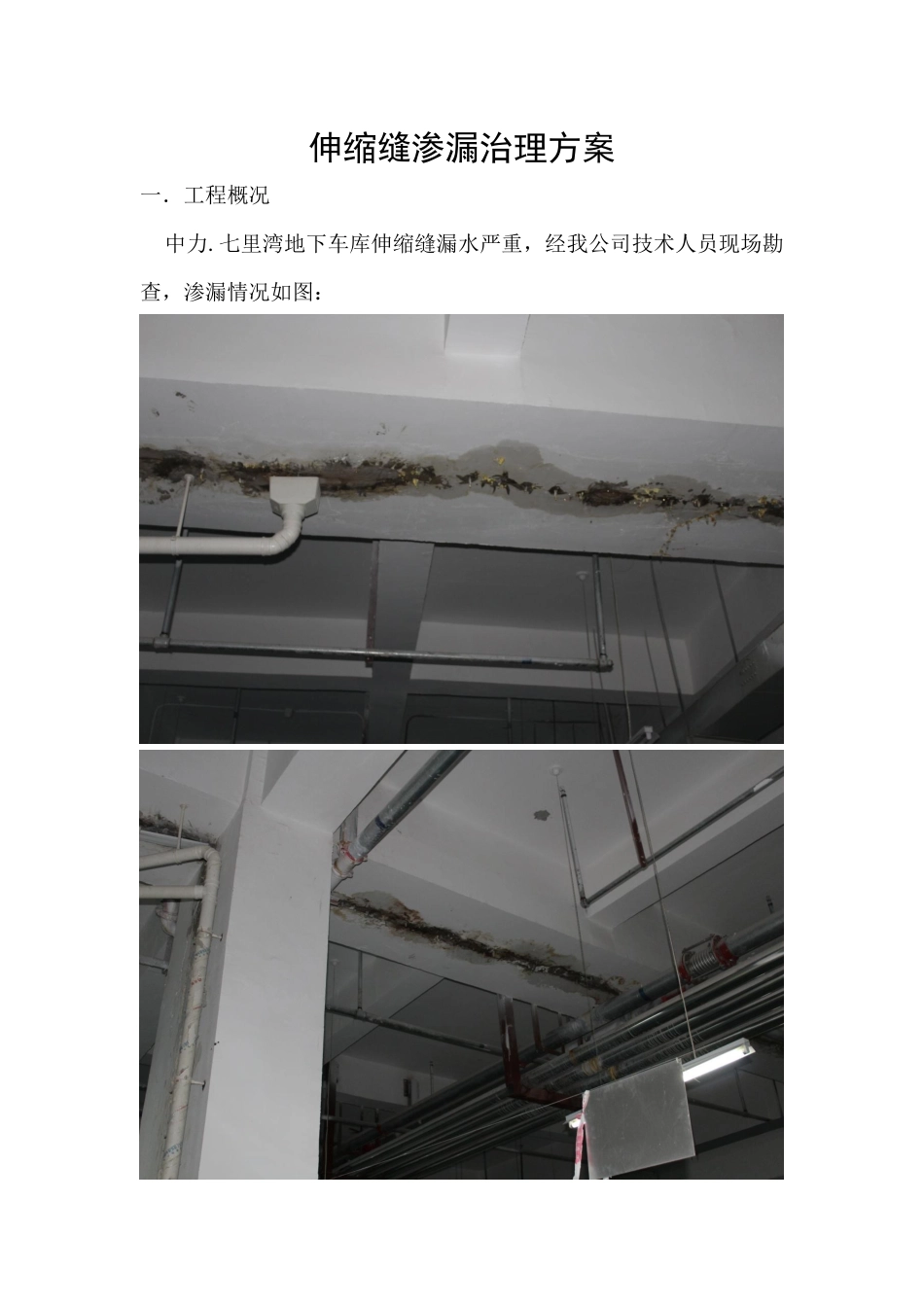 伸缩缝渗漏治理方案_第1页