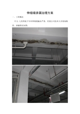 伸缩缝渗漏治理方案