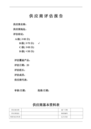 供应商评估报告