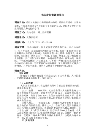 光谷步行街调查报告