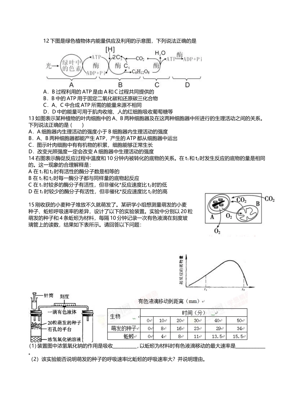 光合作用(同名6713)_第3页