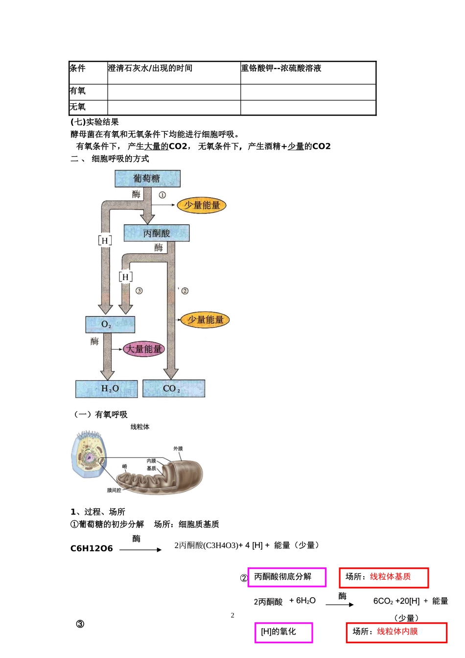 光合作用和呼吸作用知识点总结_第2页